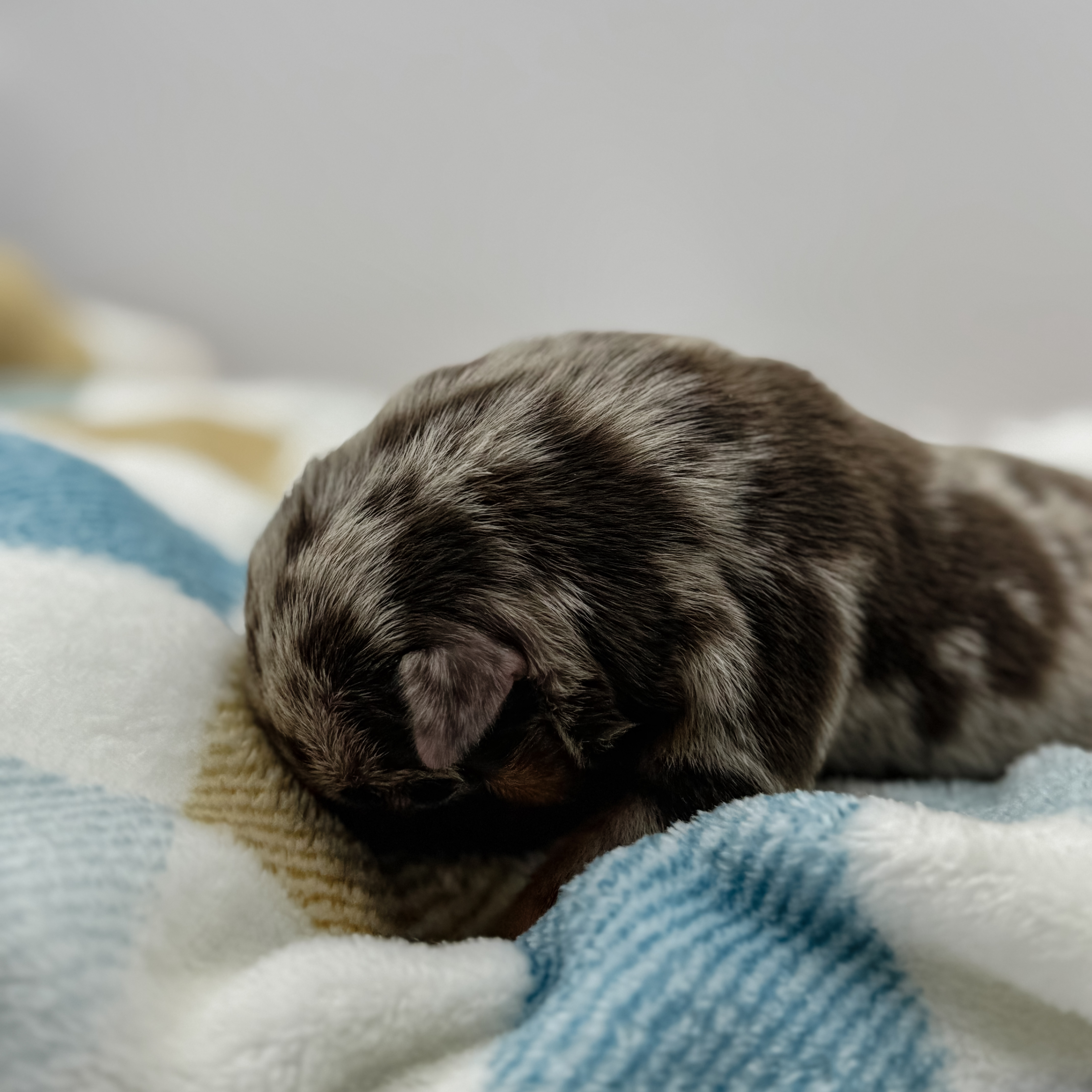 Nutella Relaxing